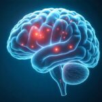 Microplastics in the Human Brain: A Disturbing New Chapter in Plastic Pollution